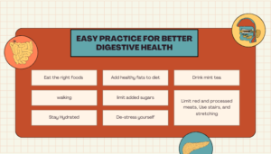 Improve your digestive health with simple practices. Learn the benefits of fiber, hydration, and stress management for digestion.