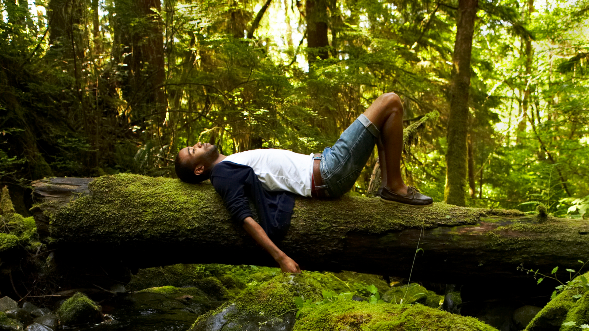 Forest Bathing (Shinrin-Yoku): Benefits of Hiking in Forests