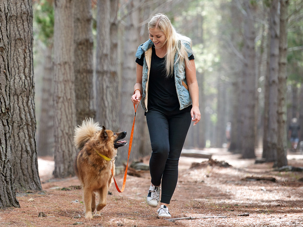 Hiking with Pets: Essential Safety Tips, Gear, and Trail Etiquette