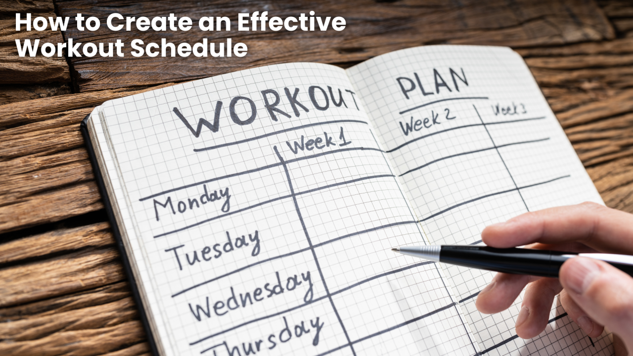weekly workout schedule plan for consistent fitness routine