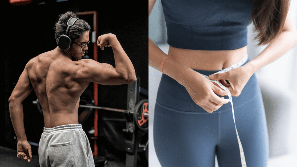build muscle or lose fat