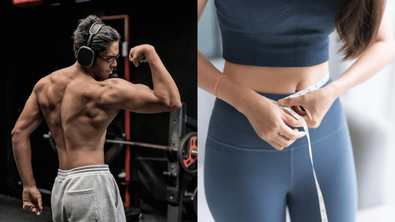 build muscle or lose fat