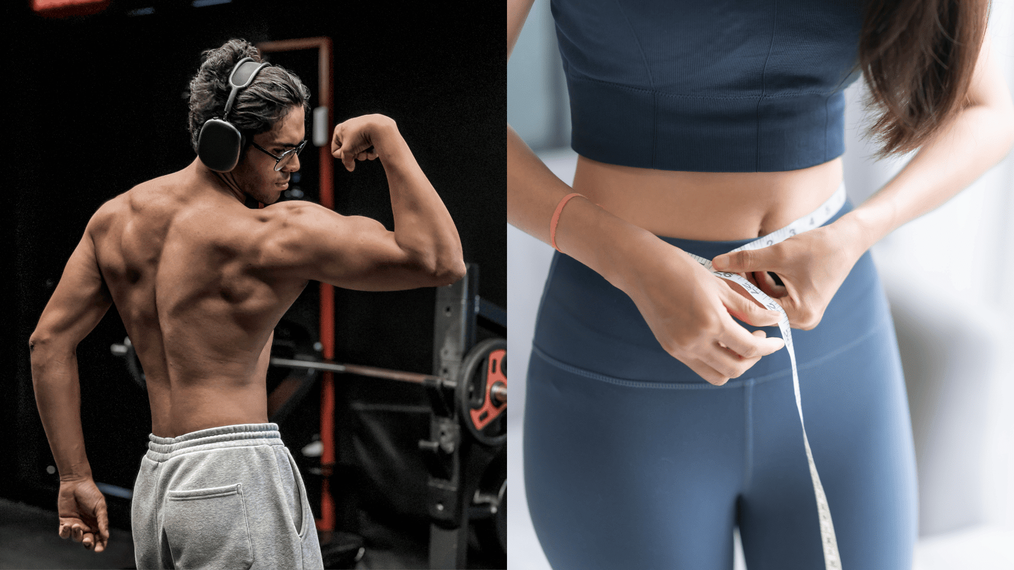 build muscle or lose fat